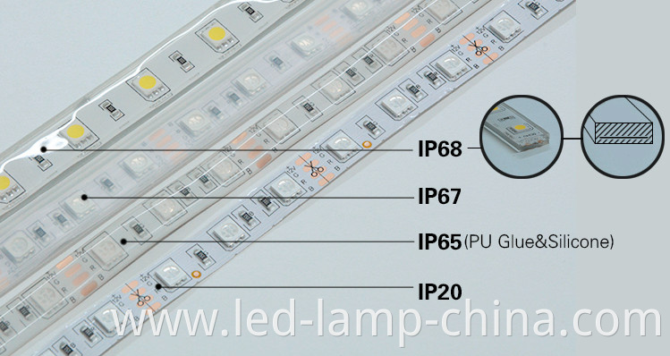 ip strip